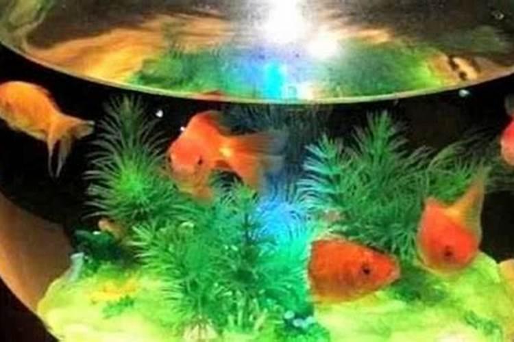 请风水大师指教鱼缸的摆放