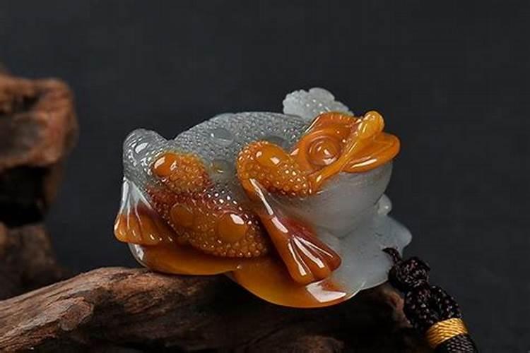 养龟风水