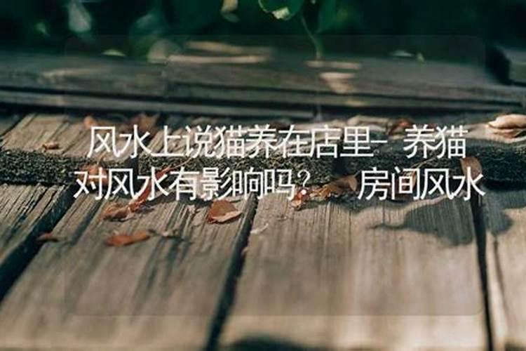 坟墓后面种什么树最吉利(推荐坟地栽什么树风水好)