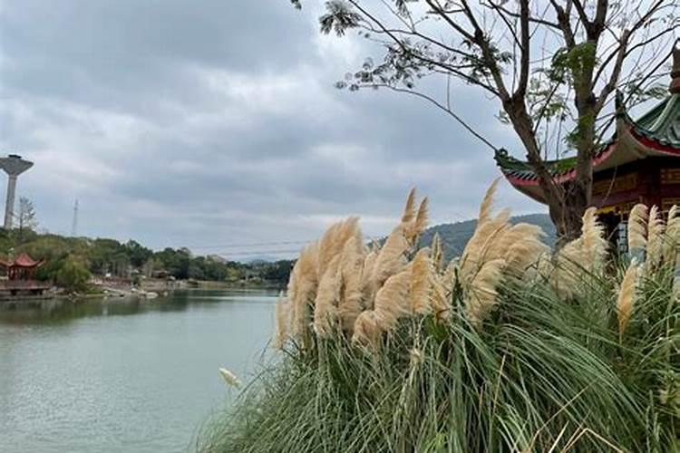 永州八大景点是哪些零陵旅游必去十大景点