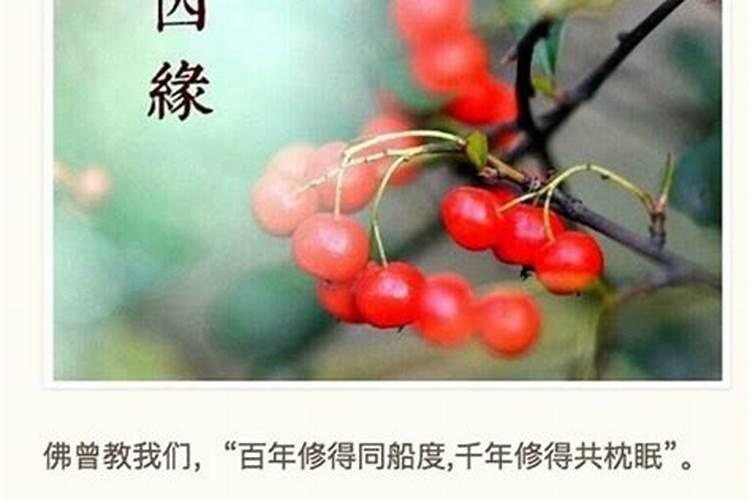 到哪去找一个算命先生