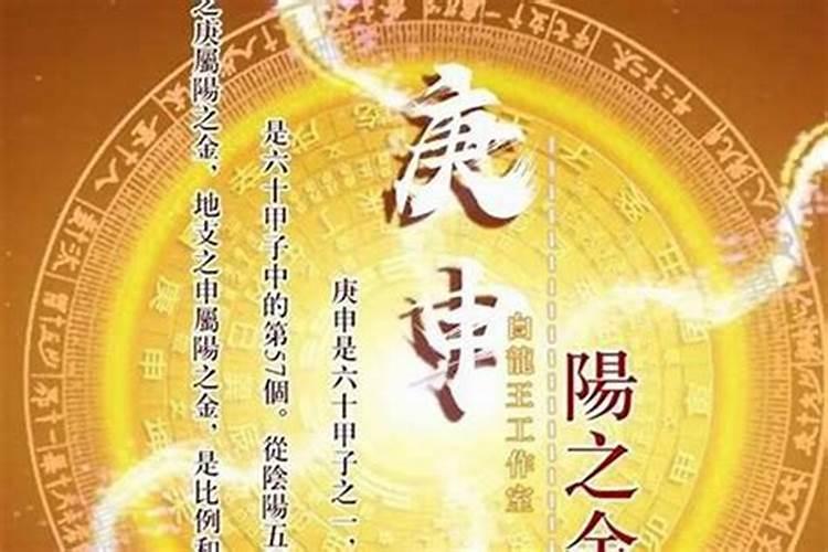 辛金家里摆放什么花最旺