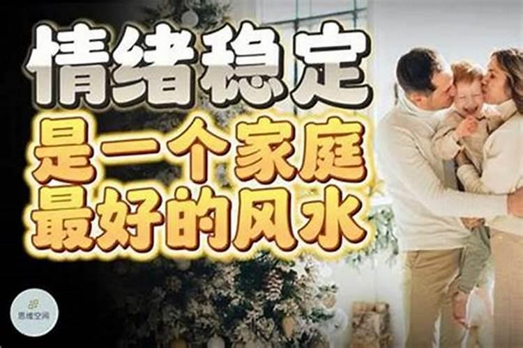 风水先生乱看风水而造成财产损失应负什么责任？