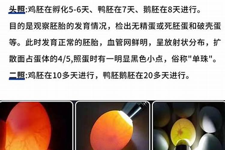 办公桌冲门怎么化解 办公桌冲门如何化解
