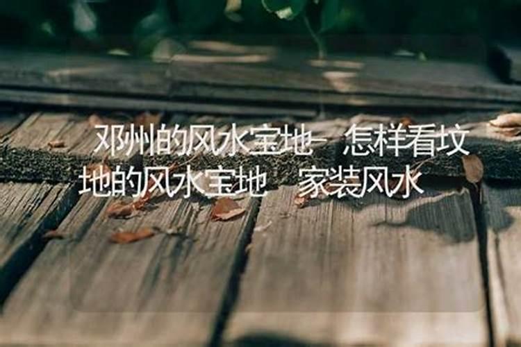 40平方米大概有哪些