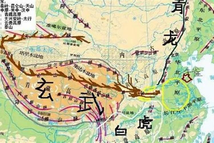 家里放几盆吊兰才吉利,吊兰放家里哪个位置风水好