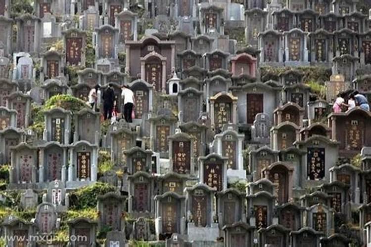 梦见经过墓地预示什么