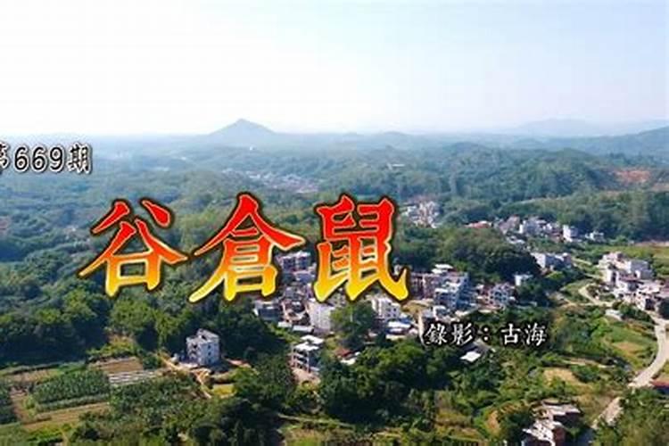 武汉最具投资价值的楼盘是哪个？？