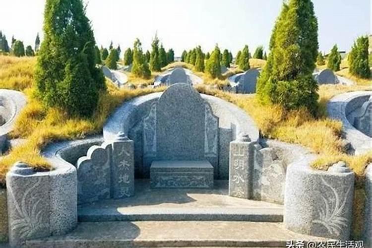 坟地种什么花好人财两旺墓地种什么花草旺后人