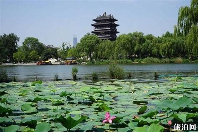 请问昆明宜良阳宗海旅游度假区怎么样？