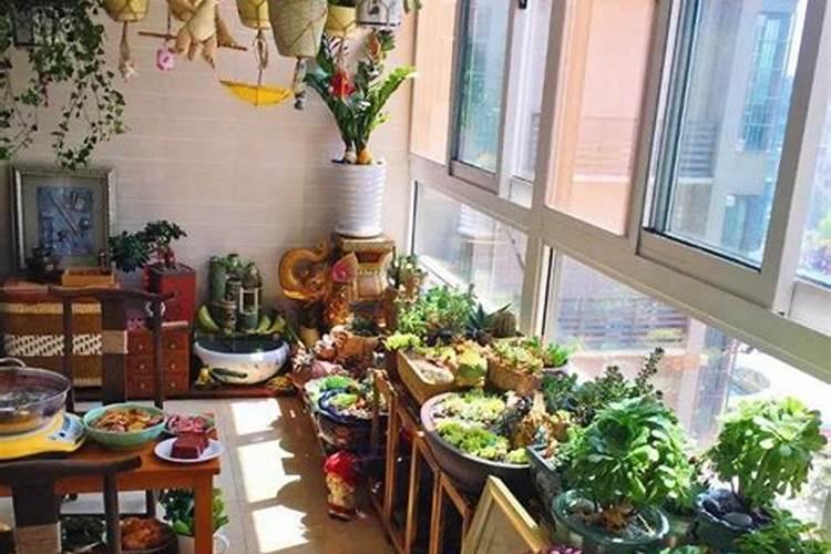 阳台放什么植物招财又旺宅 家里阳台种什么植物风水好又旺财