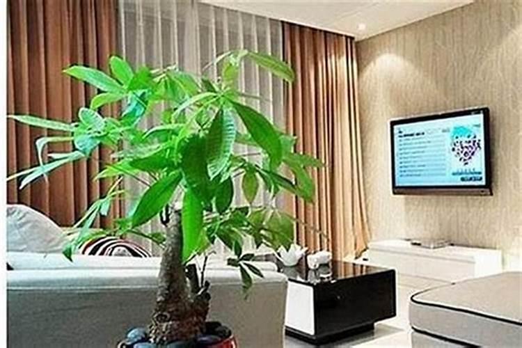 使用罗盘时要不要调整磁偏角？