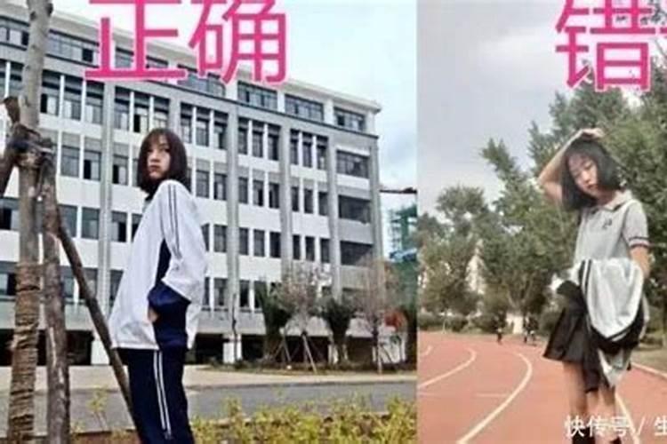 墓地可以栽什么花草