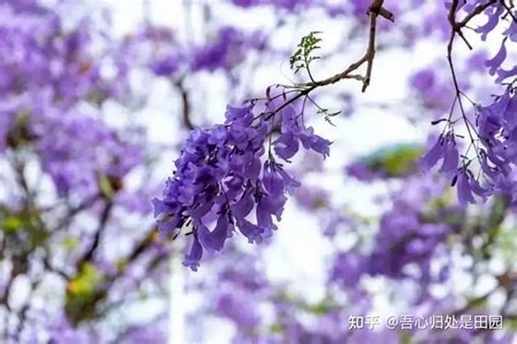 办公室的风水知识