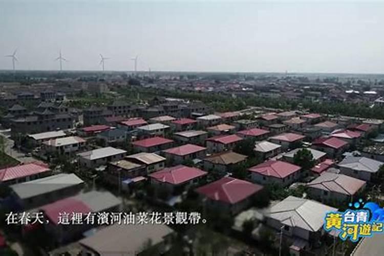 吸财树风水摆放禁忌(吸财树放在什么位置好运来)