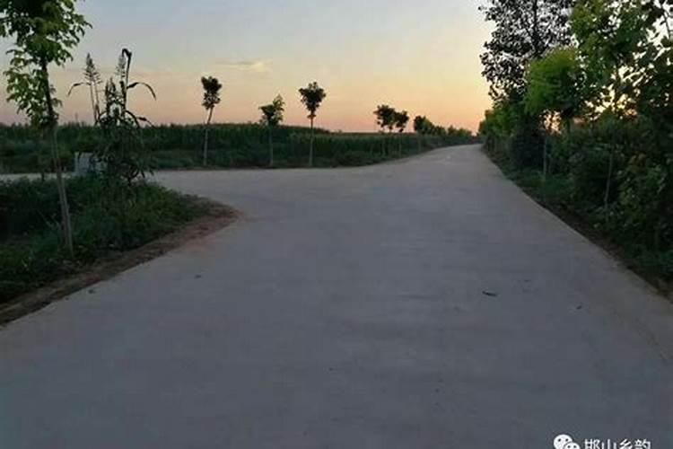 风水先生必看的书