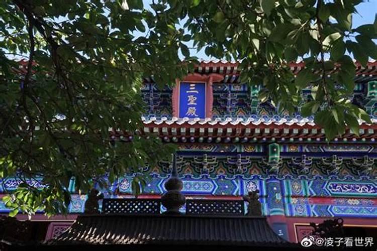 哪里可以出家,真正清静修行的地方？