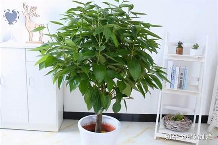三元风水是如何确定兼向不兼向的？越仔细越好