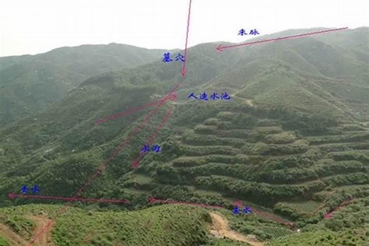 能问阴地重修吗