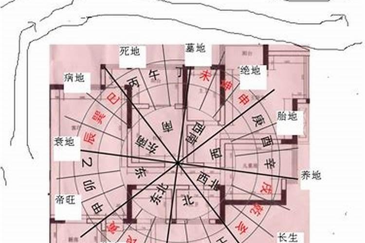 入户玄关放什么植物好