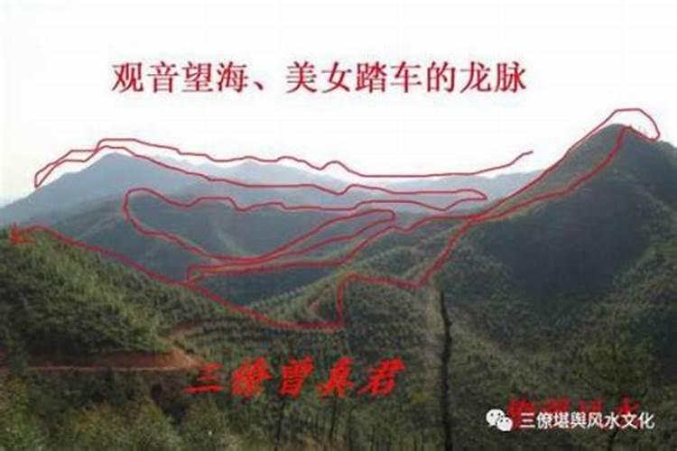 房子摆什么风水最旺运气