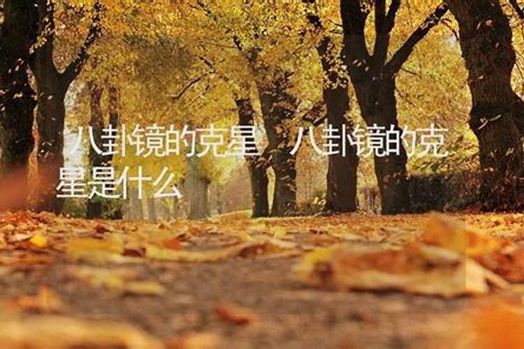 风水中石龙指什么