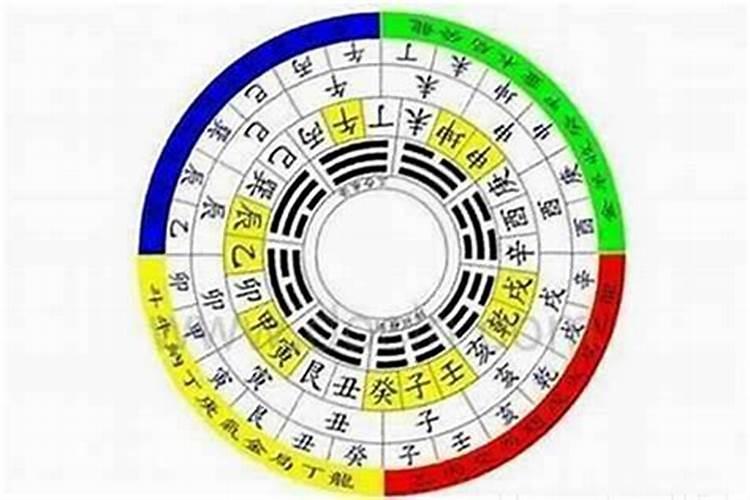 三角梅可以养在办公室吗？