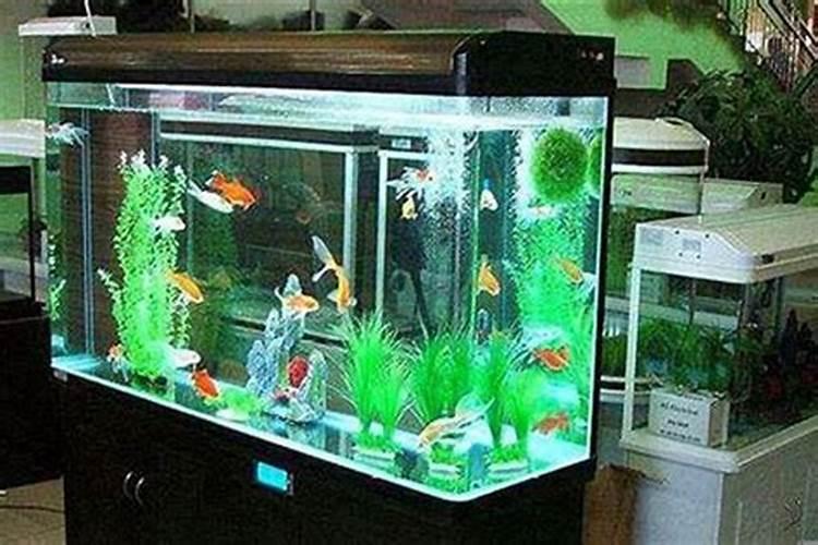 水族箱摆放风水