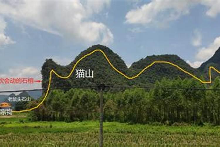 韦千里的浙江嘉兴人