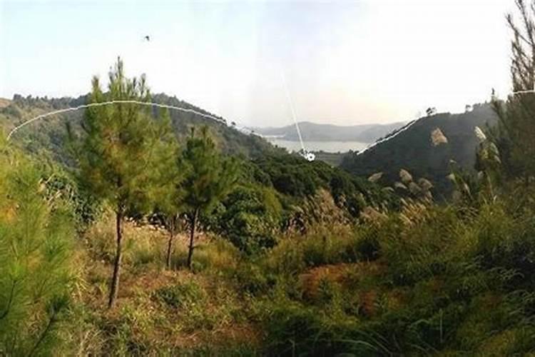 农村自建房的化粪池怎么装？