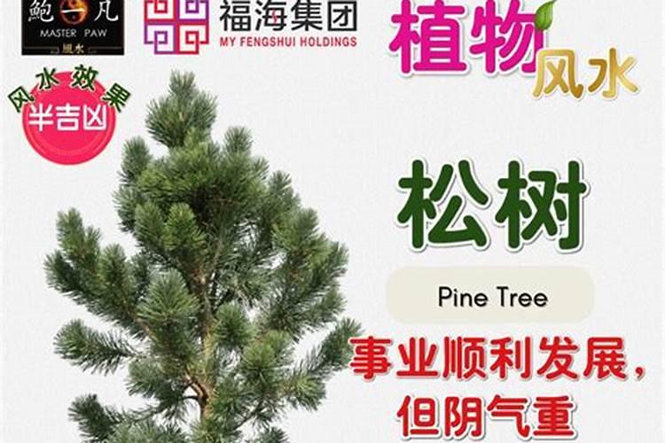 家里房子后面一条环城路通了,懂风水的帮我看看