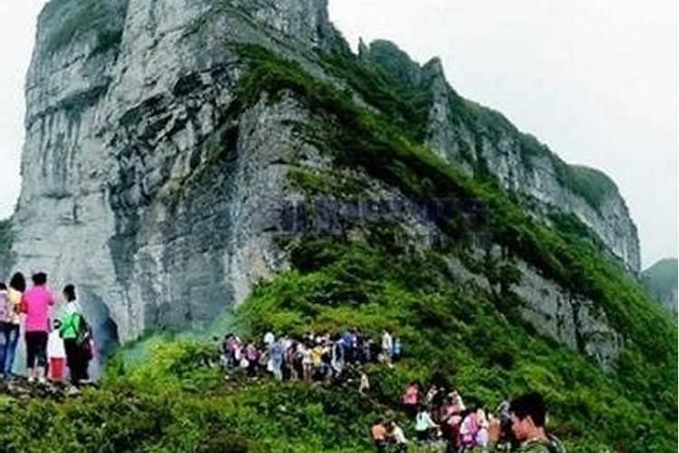 风水大师的住宅忠告