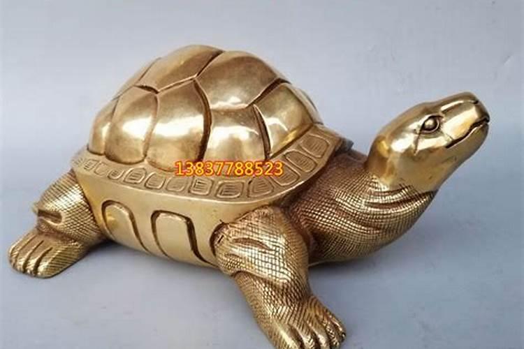 金钱龟摆放头朝哪里金钱龟摆放禁忌？