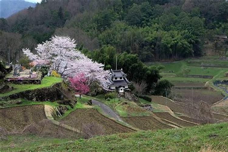 “住了抬轿房,家败人也亡”,何谓抬轿房？有道理吗？
