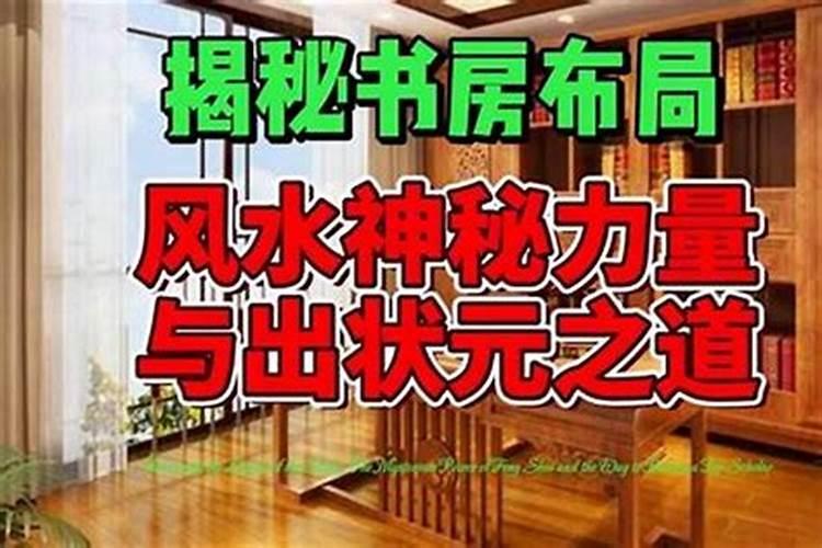 办公室养什么鱼是旺财的