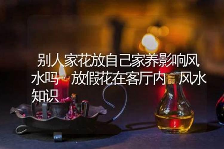 庭院最好的风水布局 有什么特点？