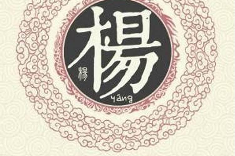 杨公忌的来历