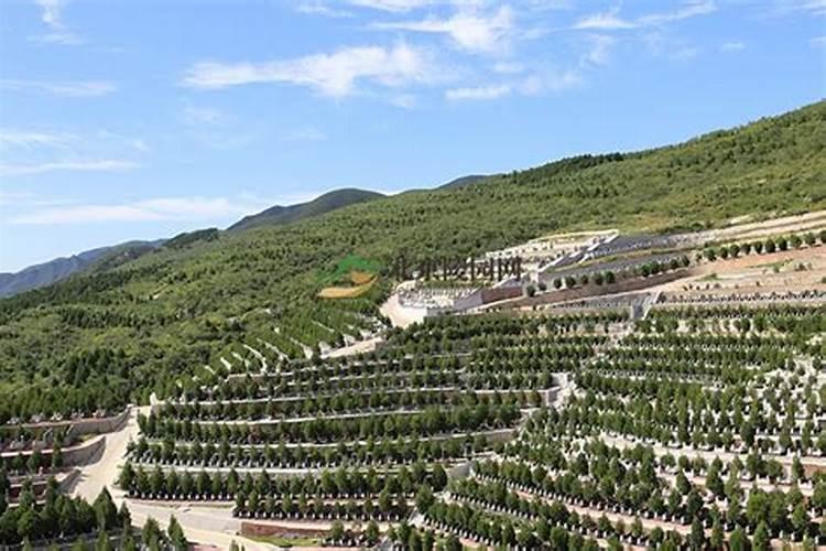 家里墓地全面有很高的山好不好？