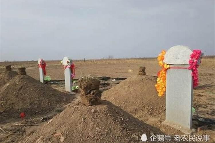 梦见绿蛇像我抬头的预兆
