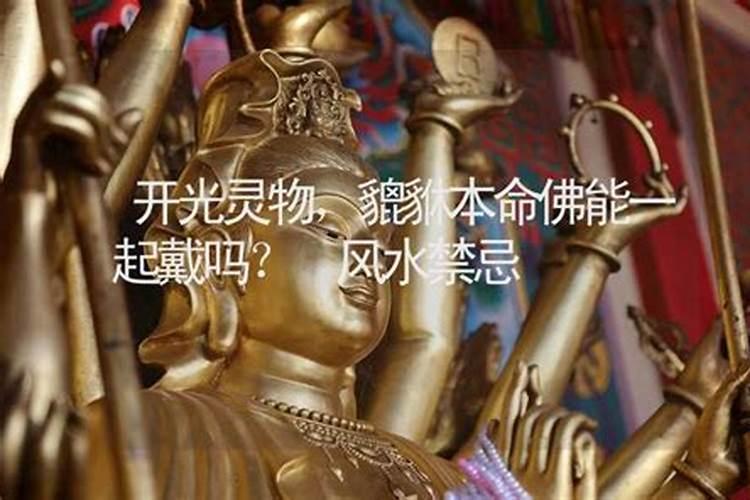 我家有释迦牟尼佛两尊,阿弥陀佛,药师佛,观世音菩萨四尊,地藏菩萨,弥勒...
