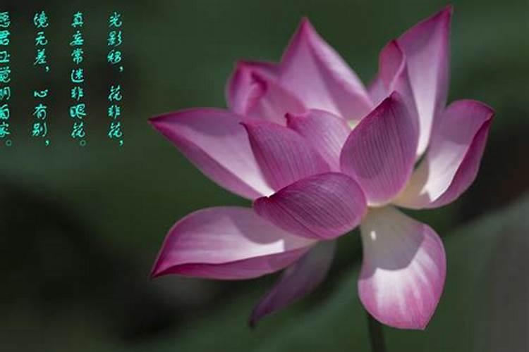 康有为故居纪念馆历史