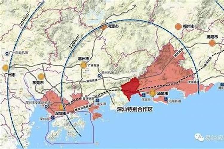松树什么品种作盆景好