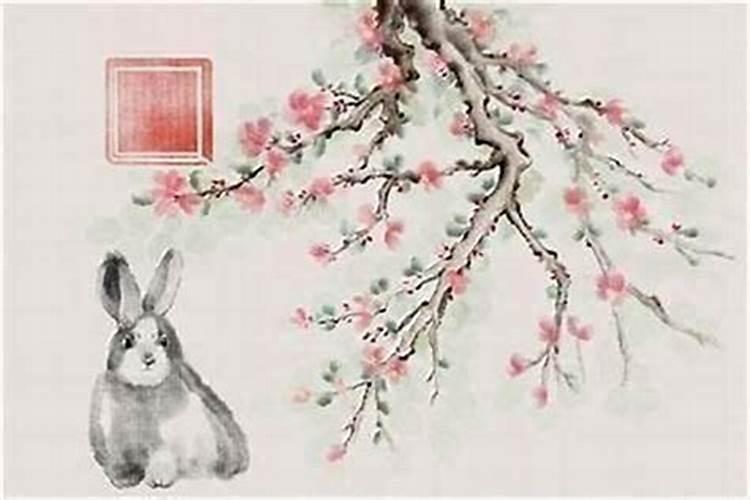 属兔的进门看见什么好吉利 2024年属兔大忌颜色