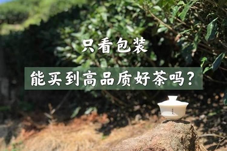 东洋在哪个地方