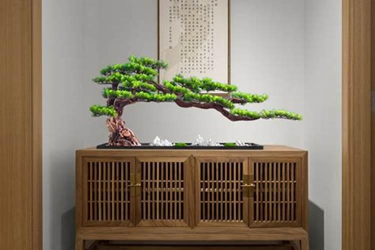玄关处放什么植物风水好？