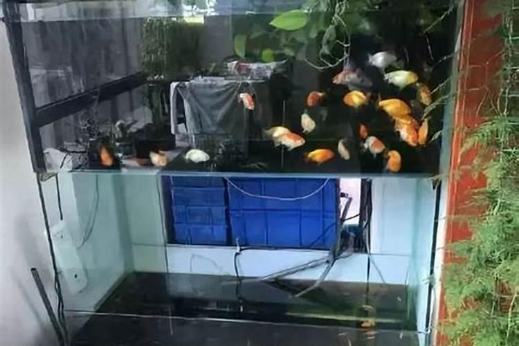 从风水的角度,阳台哪个位置建鱼池好啊？