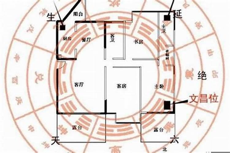 今年的财位在哪个方位？
