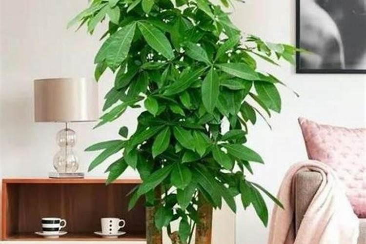算命去哪儿算？朋友推荐帮帮测可信吗？