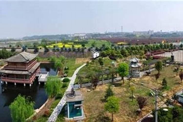 有人知道在浙江省丽水市有哪个县有什么未解之谜的地方或者有文物出土...