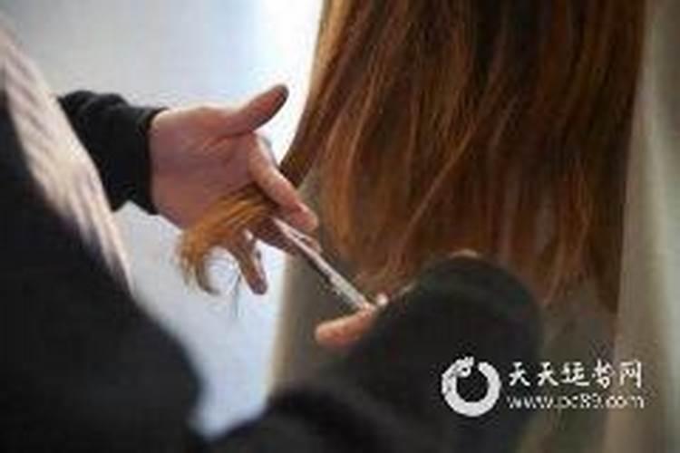 院子迎宾墙前放什么植物？